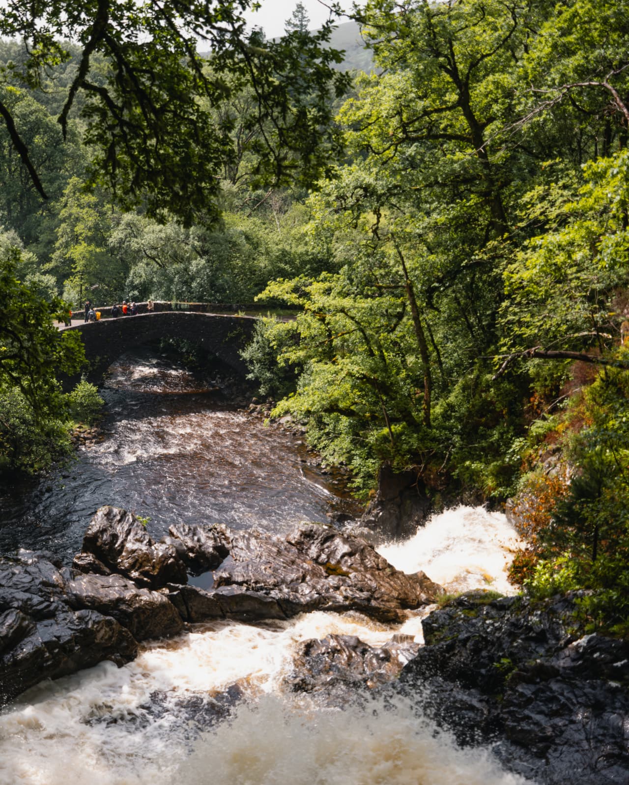 Wild Scotland | Unforgettable Luxury Rail Journey Aboard Royal