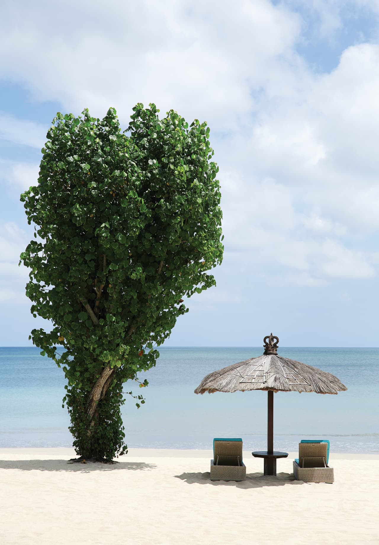 Nude beach hand job falkland – Telegraph