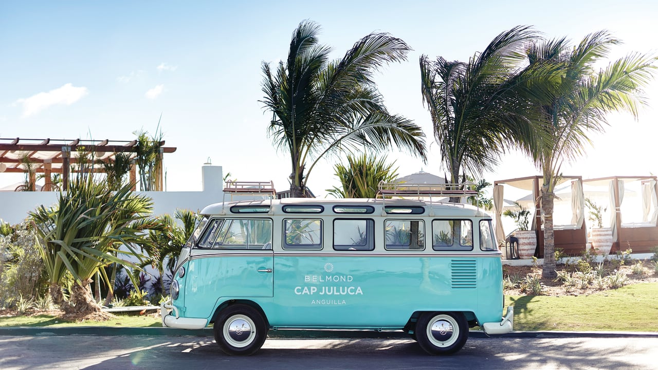 Light-blue VW camper van against sunny blue-skies and palm trees