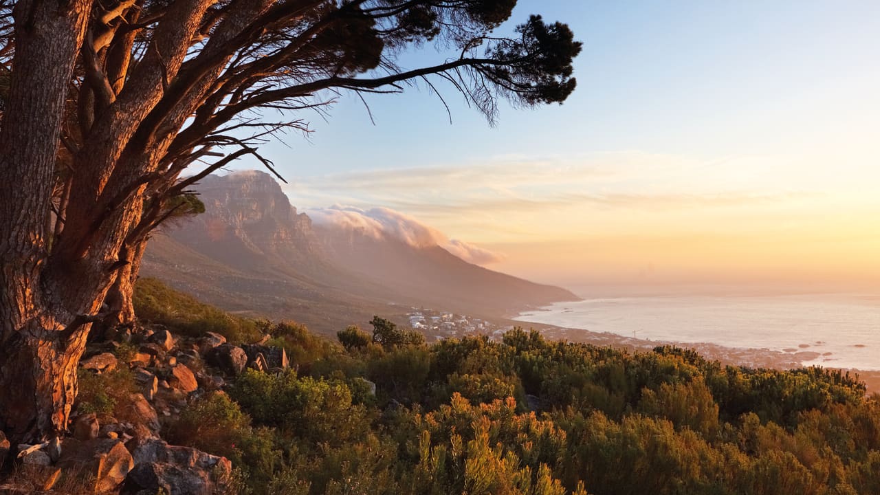 Table Mountain, Cape Town