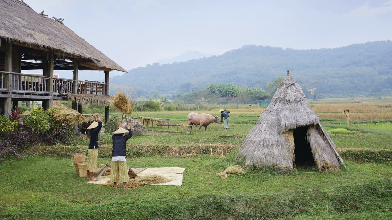 Farming experience in Luang Prabang