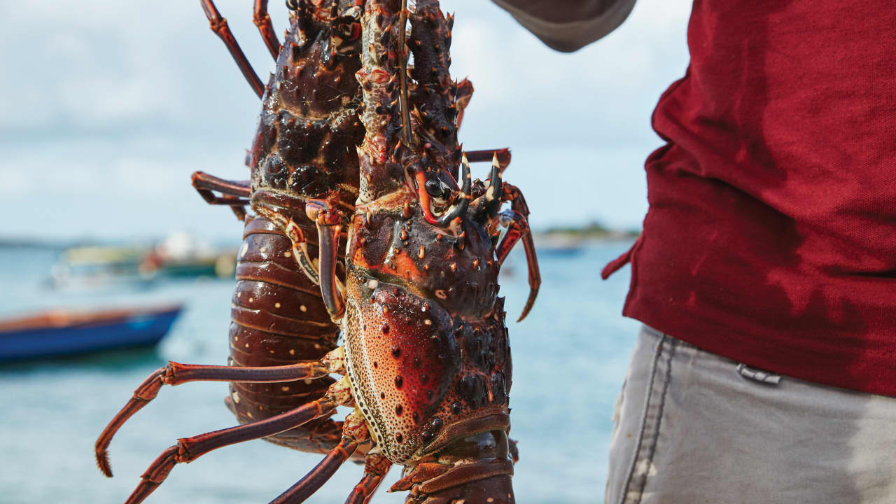 a fisherman holding a crawfish