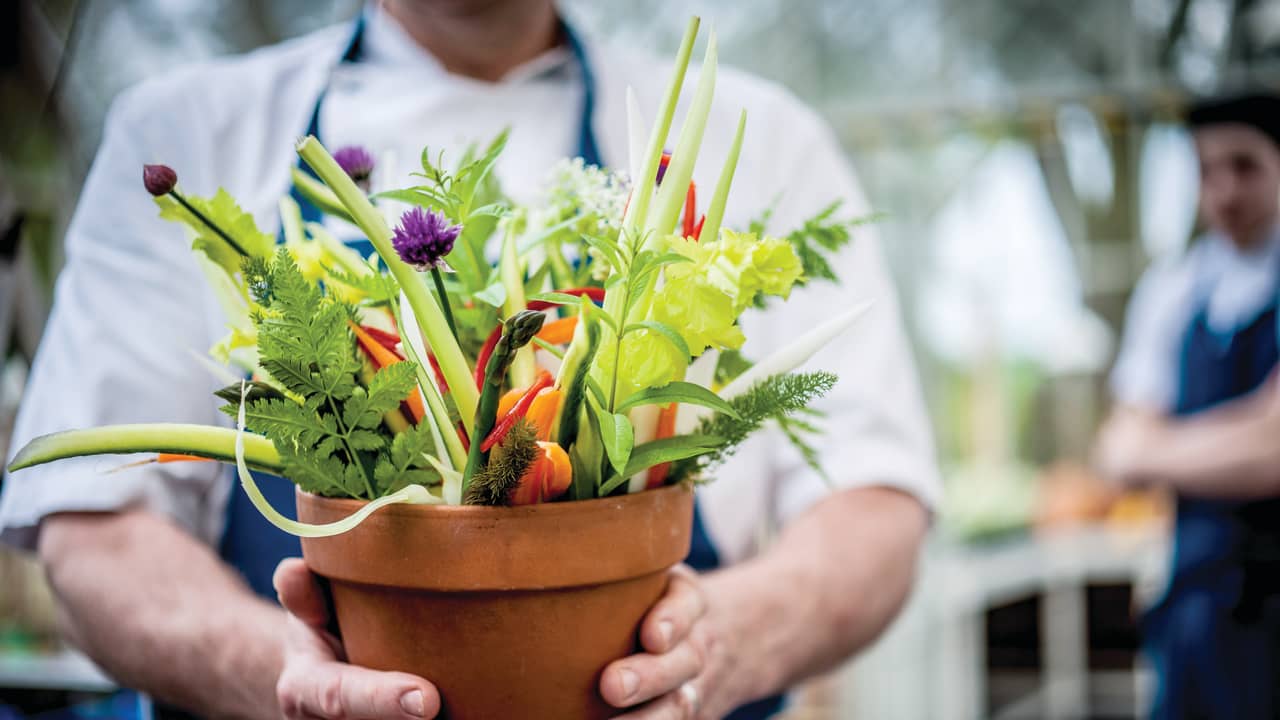 Elevated vegan cuisine served at several Belmond experiences 