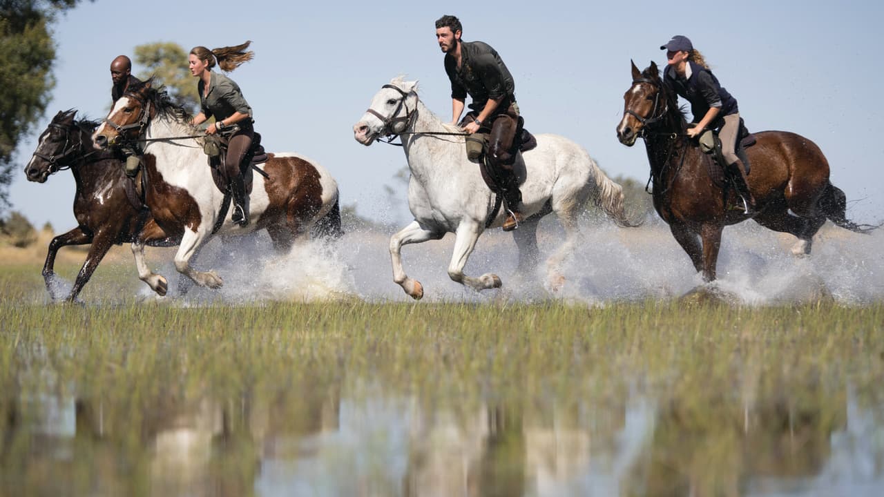horse riding in the Okavango delta