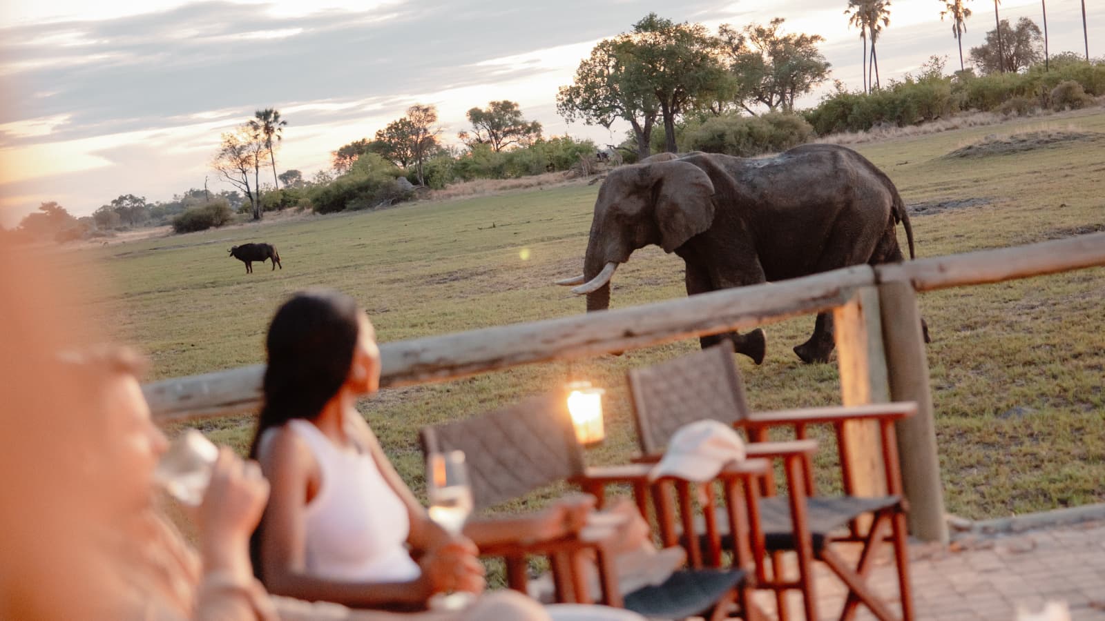 Images of Eagle Island Lodge | Pictures of the Okavango Delta