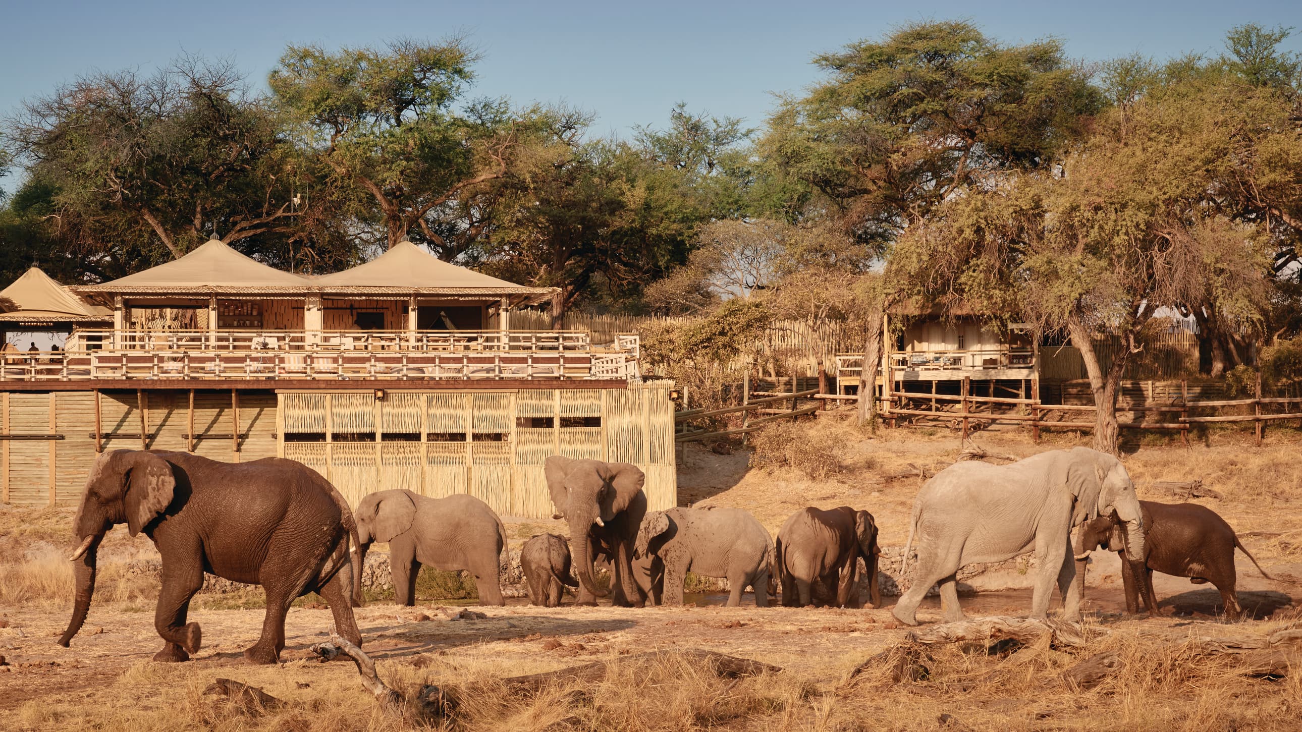 Belmond Savute Elephant Lodge
