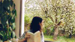 At an inside breakfast table, a woman with a book gazes back through a window looking onto blossoming trees, in soft-focus.