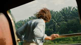 A man in white trousers and blue top leans over the Observation Deck bars, looking back at the palm-filled landscape behind.