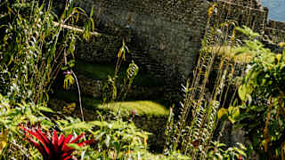 Tilted image of the Wiñaywayna ruins, with its gable-ends rising from moss and foliage, luminous green in sun.