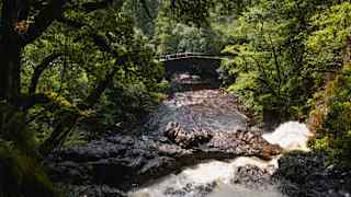 Hikers walk over an old stone bridge spanning a fast-flowing river with rocks and rapids which cuts through verdant forest.