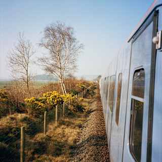 A view from the side of a moving train, showing leafless trees, green bushes, and a stone-lined railway track under a clear blue sky.