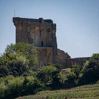 The ruins of the Châteauneuf-du-Pape castle, with crumbled walls exposing interior arches, sit atop a hill overlooking vineyards.