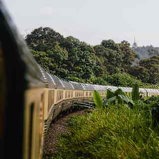 View down the exterior of the carriages of the Eastern and Oriental Express as it rounds a corner, banked by dense foliage.