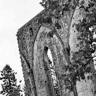 Black and white photo of a tall, ruined stone wall with arched windows, partially covered by tree branches, and a large evergreen tree in the background.
