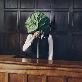 A member of staff stands behind a wooden bar holding a large young rhubarb leaf by the stem, which covers his face.
