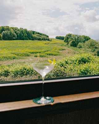 A martini glass with a lemon twist sits on a windowsill, overlooking a lush green field and trees under a partly cloudy sky.