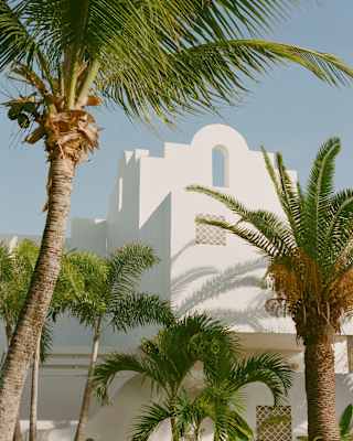 Exterior view of a villa with clean geometric shapes and features, painted crisp white and surrounded by verdant palms.
