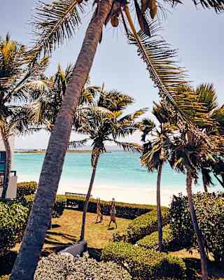 A couple doing hand stands in the manicured garden of a beach villa overlooking the Caribbean Sea