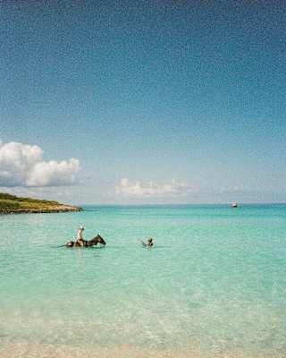A figure rides a horse through turquoise waters towards a swimmer just in front, in an image taken from the beach.