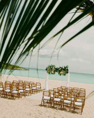 Two columns of twenty chairs await guests in front of a wedding arch, for a waterfront celebration, viewed through palm fronds.