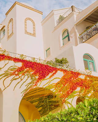 The bright red leaves of Virginia Creeper snake across cream stucco walls setting the Moorish architecture ablaze