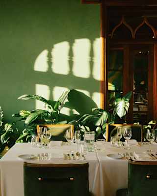 Sunlight plays on the leaves of potted plants and casts shadows on a green wall, seen over a laid white-clothed dining table.