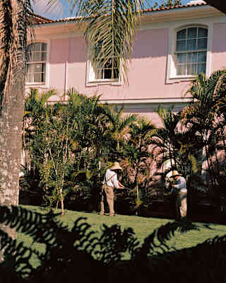 See through ferns and foliage across a lawn, two gardeners tend to the tree ferns that flank a pink wall of the quaint hotel.