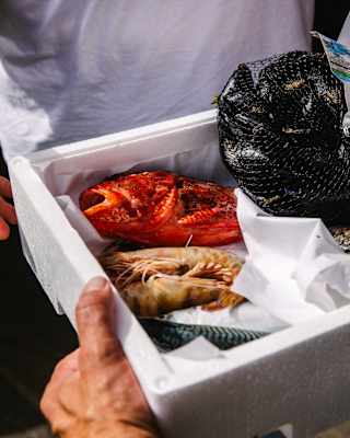 Close-up of a polystyrene tray of seafood including mackerel, prawns, a crimson scorpionfish and a net bag of mussels.