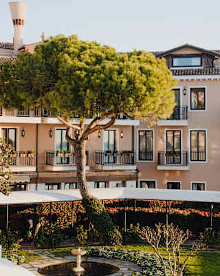 A two-storey high pine-tree with a sun-brushed canopy grows by a fountain in a lawned courtyard in front of Hotel Cipriani.