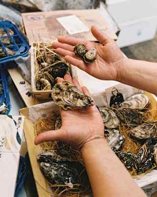 A person holds oysters in both hands above trays filled with more oysters and straw at a seafood market or stall.