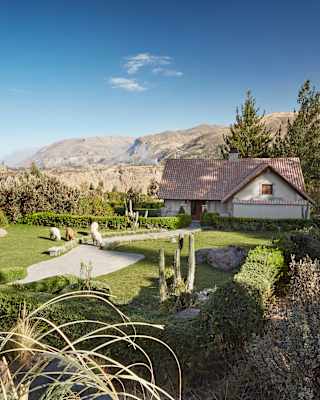 Alpacas roaming on a lawn in front of a casita surrounded by lush gardens