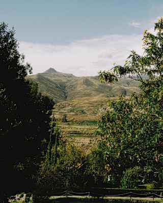Craggy, undulating green-ridged mountains rise behind the trees of Las Casitas, seen from the hotel gardens.