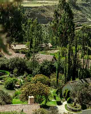 Aerial view over the lush jumble of manicured gardens and wild forest, with tall pines and terraced hills, at Las Casitas.