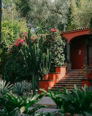 Sun glances the external steps up to Casa Parque's warm orange terracotta façade, nestled in lush gardens, seen over exotics.