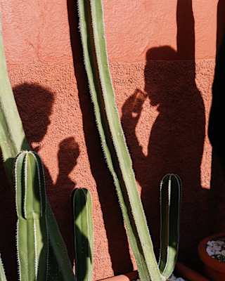On a sunny day, the shadows of two wedding guests sharing a drink are photographed on a red wall behind long cacti stems.