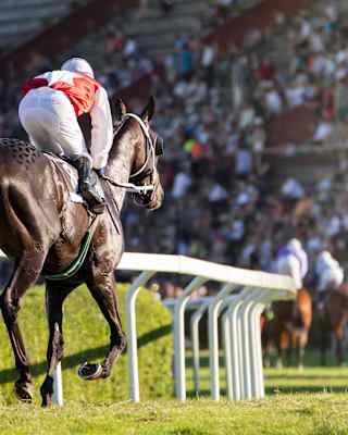 Jockey in a red top riding a chocolate coloured racing horse on a race track