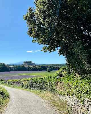 Beneath a big blue sky, a narrow road winds through fields of crops and lavender towards the forests of Drôme, in France.