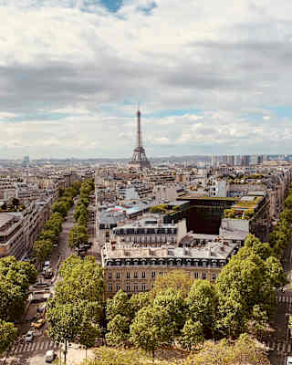 High-angle view of the tree-lined avenues of D'Iéna and Kléber, and Paris's Haussmannian blocks, to the distant Eiffel Tower.