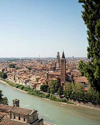 High-angle view, seen through pine trees, over the Adige, which cuts through Verona's clusters of terracotta rooftops.