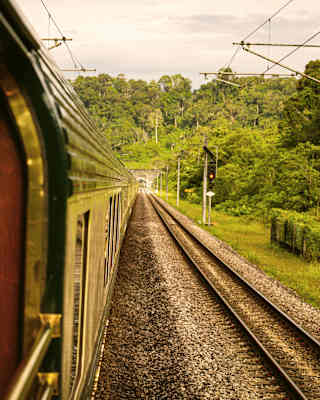 External shot, taken from a window, along the side of the train as it journeys on tracks with a verdant forest backdrop.