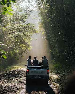 Silhouetted in a shaft of hazy sunshine, a truck carrying four people makes its way through the towering Taman Negara forest.