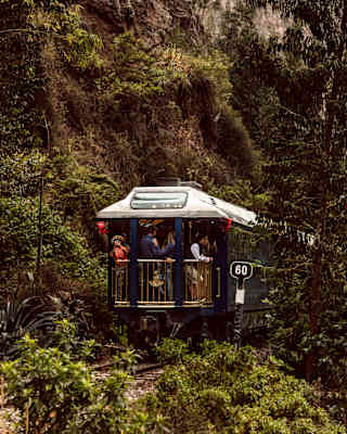 View of the Hiram Bingham as it disappears on tracks between mountain and forest, its Observation Car crowded with guests.