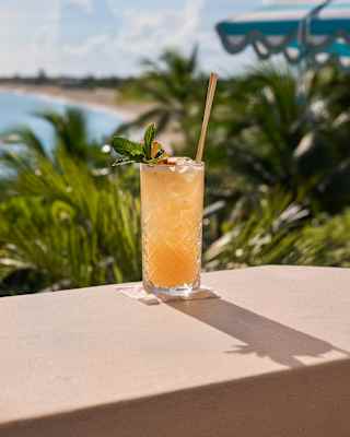 A Nathalie cocktail with vodka, bourbon, vermouth, orange liqueur, lemon, soda and mint garnish sits on a sunny outdoor wall.