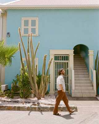 In a local Saint Martin lane, a man strolls past a house painted sky-blue, with a tall cactus plant and palm out front.