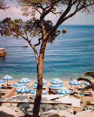 High angle view of a cluster of blue and white parasols along the pebbled edge of the sapphire sea, divided by a tall pine.