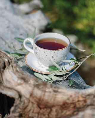 Close-up of black tea served in a speckled white teacup and saucer, decorated with olive leaves and resting on stone wall.