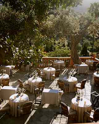 High angle view of the terrace where round white-linen tables are striped with light as it filters through the olive trees.