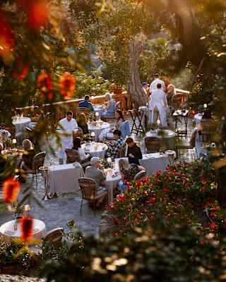 View through the red flowers of a bottlebrush tree to the busy terrace of El Olivo below, where guests dine in dappled light.