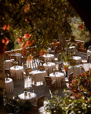 High-angle view through a bottle-brush plant over Olivio's terrace, where tables await guests sun and dappled shade.