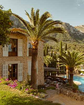 A tall palm reaches beyond the height of the roofs, against walls with white shutters. Behind, limestone peaks stand impassive